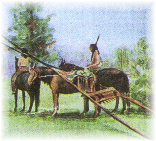 native indian braves niaef